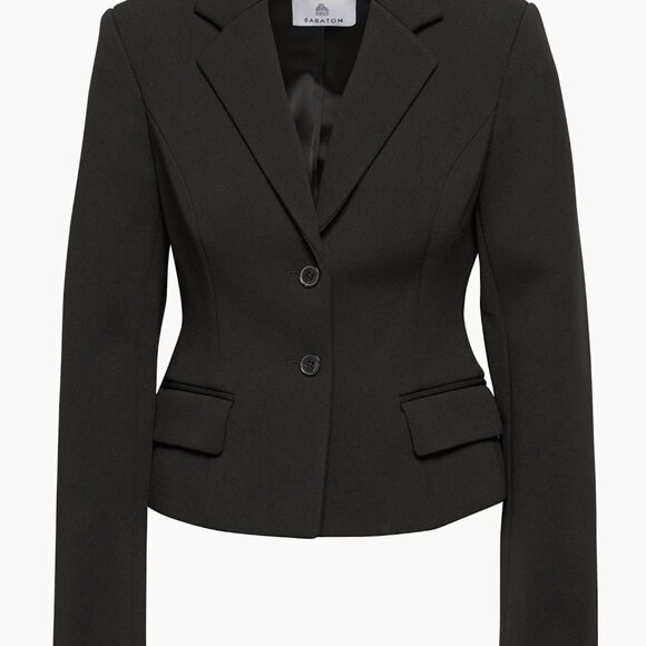 Aritzia Babaton CURATE BLAZER - Picture 1 of 11